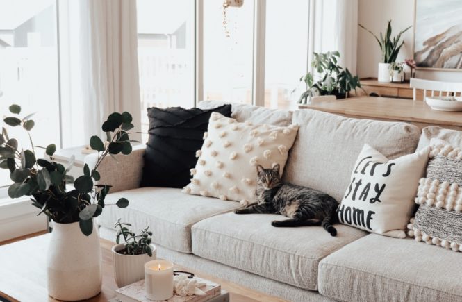 How To Style A Small Living Room The, Urban Barn Crosby Coffee Table